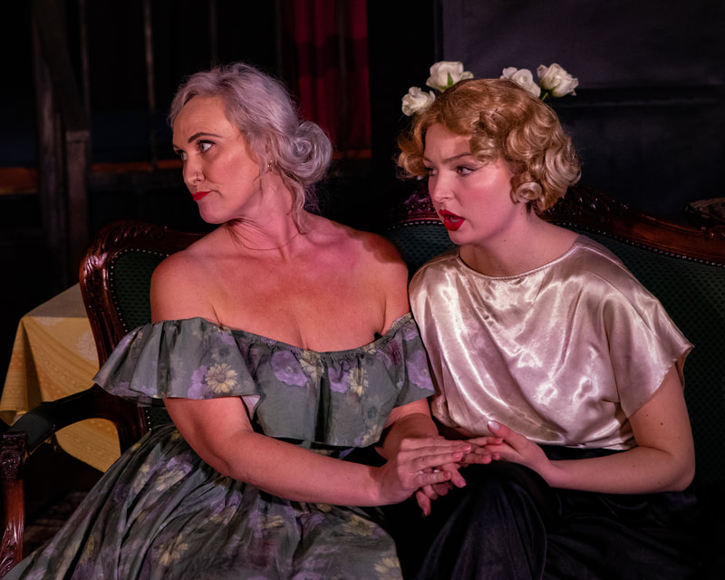 Hay Fever, High Tor Players 2023, picture 3